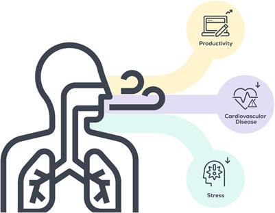 Deep breathing exercise at work: Potential applications and impact